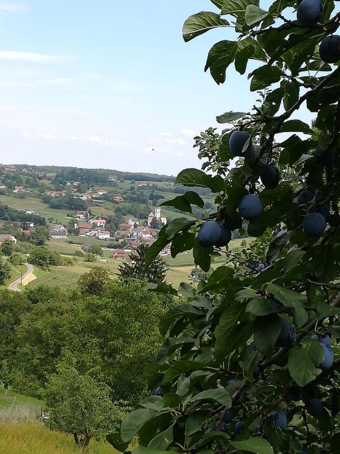 Kronprinz-Rudolf-Hof Unterlamm Exteriér fotografie